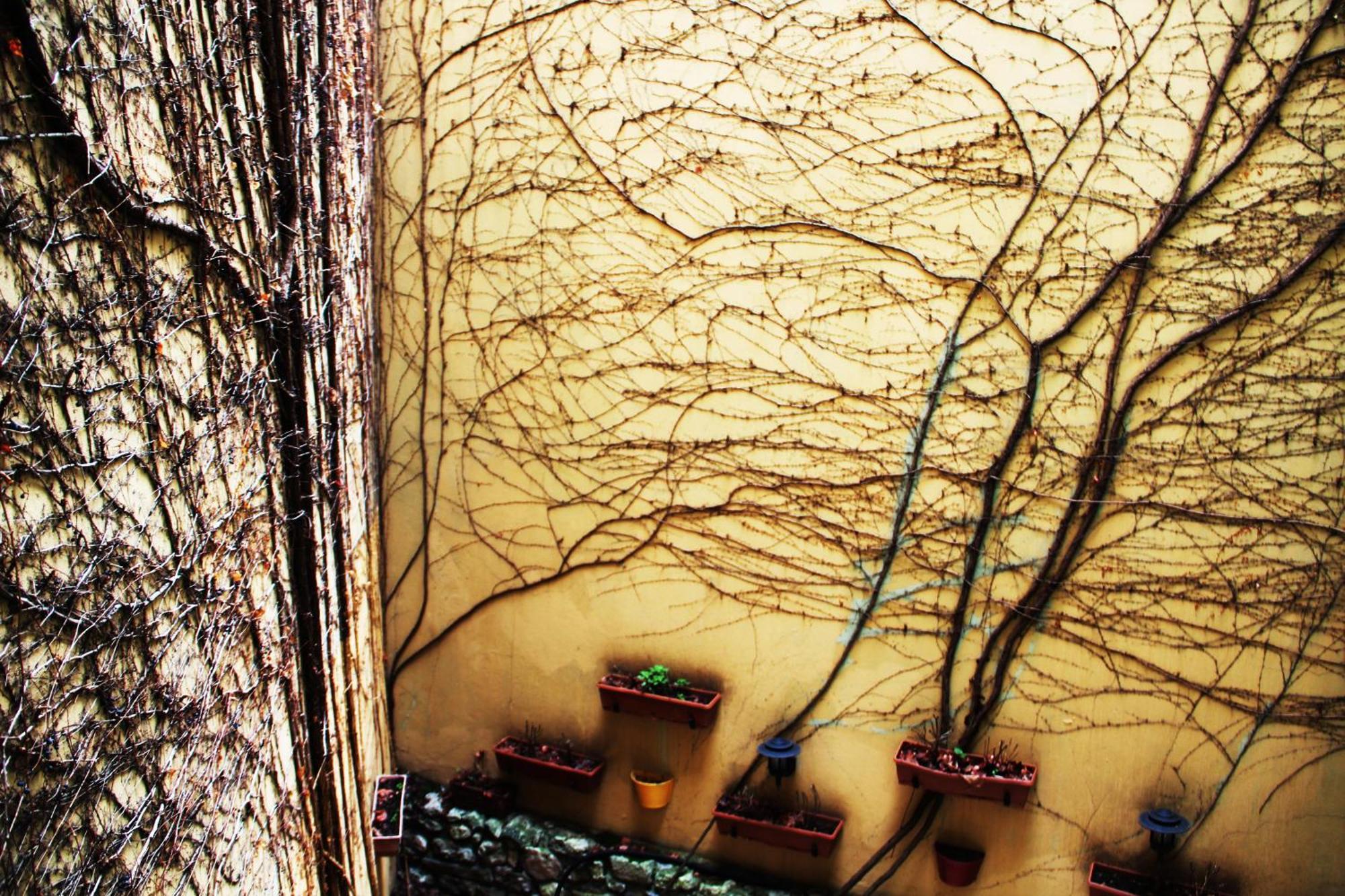 Hotel Erguvan - Special Category Κωνσταντινούπολη Εξωτερικό φωτογραφία